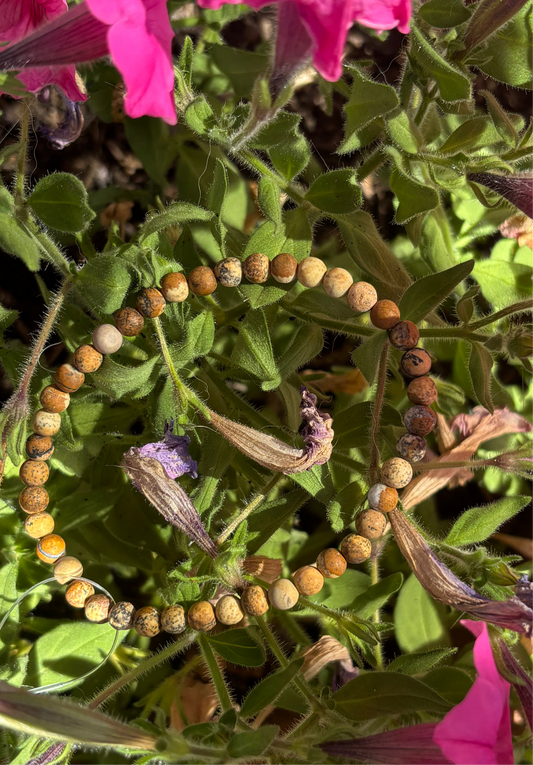 Dainty Stone Bracelet